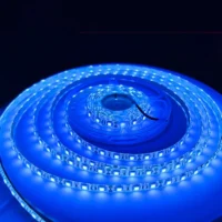 5050 ice blue light strip (12)