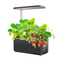 Indoor plants low light (2) plants low light