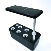 Indoor plants low light (4)