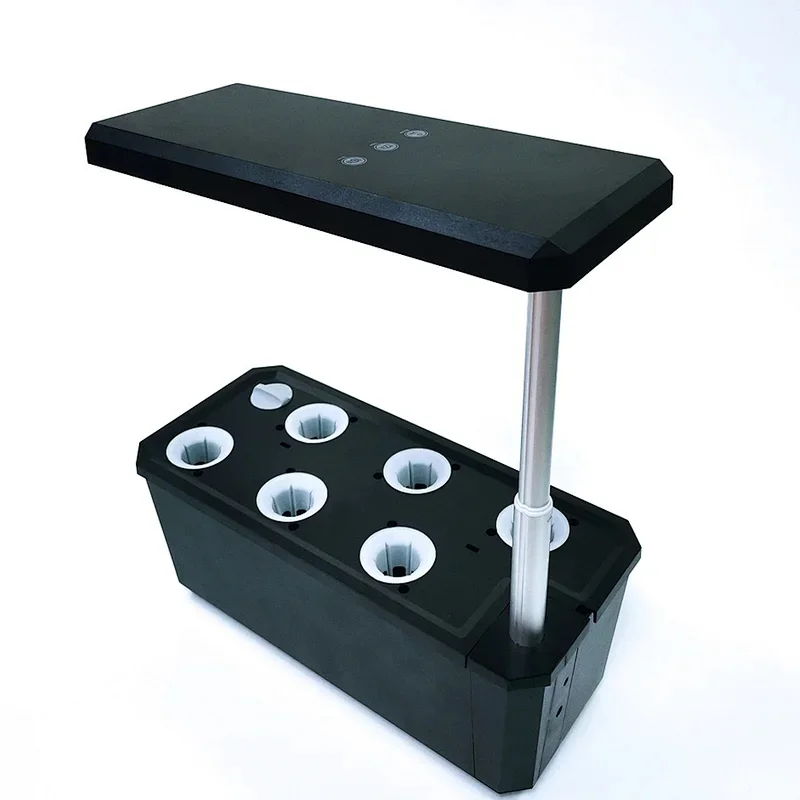 Indoor plants low light (4)