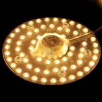 LED Ceiling Light