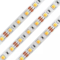 Tunable white cct led strip (4) Tunable white cct led strip