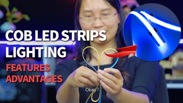 What's COB LED Strips Lighting Features and Advantages?