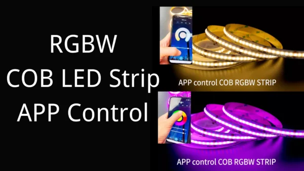 rgbw