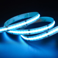 RGBW-2 RGBW cob led strips